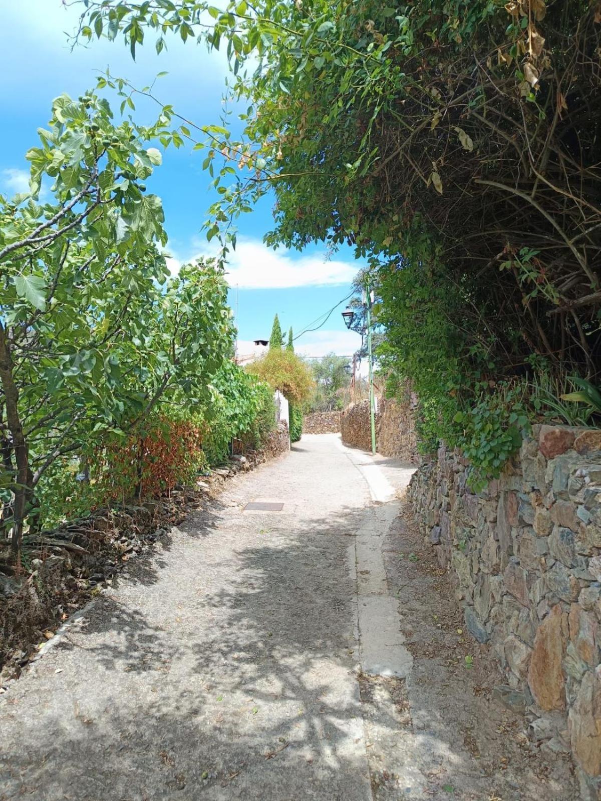 Casa Rural El Olivo Aracena Exteriér fotografie