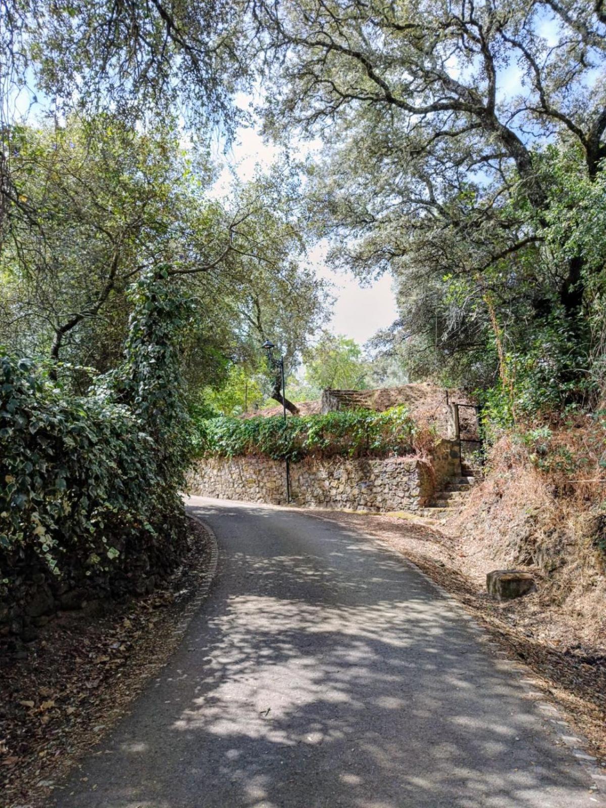 Casa Rural El Olivo Aracena Exteriér fotografie